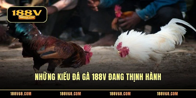 Những kiểu đá gà 188V đang thịnh hành